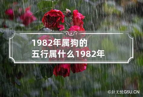 82 生肖|1982年属什么 1982年属什么五行